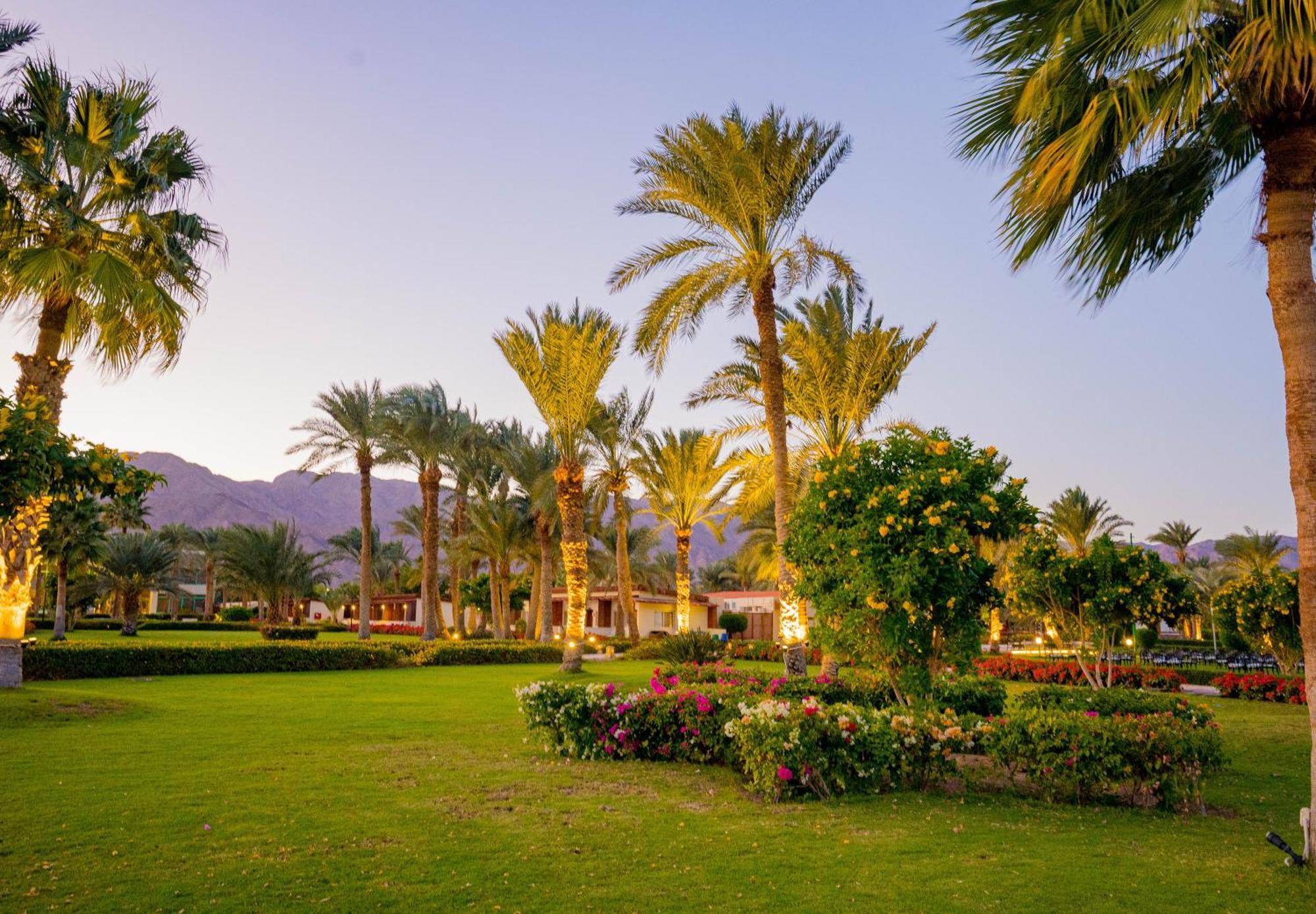 Nuweiba Club Resort Exterior photo